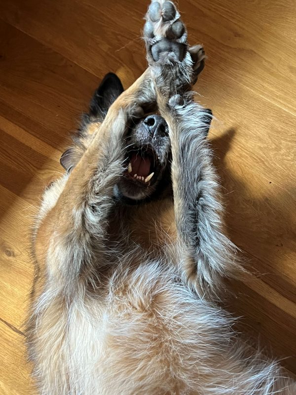 Ronja