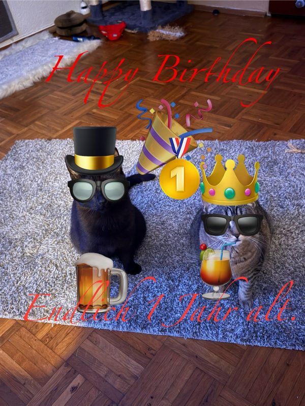 Talisa und Drogo (jetzt Arya und Godzilla)