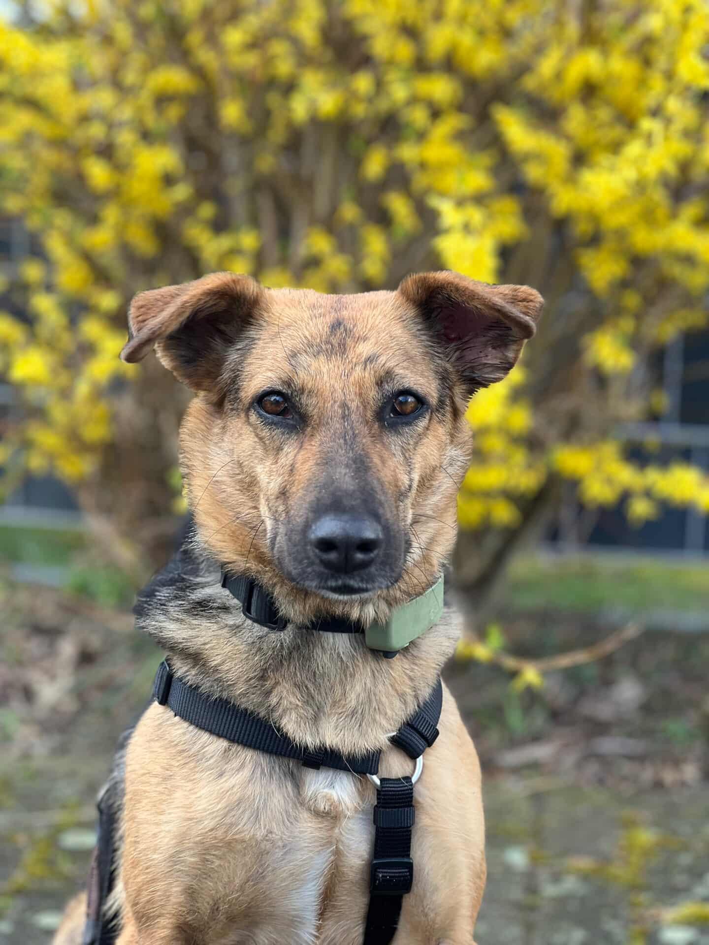 IMG_20260326_162846_636