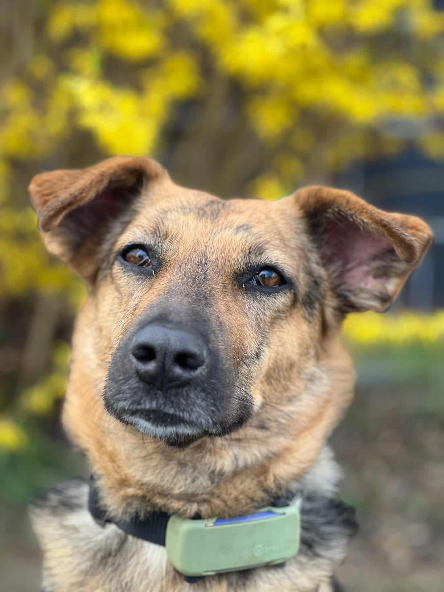 IMG_20260326_162848_472