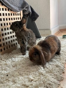 Weeta und Bix