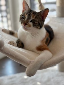 Luise und Lexi (jetzt Luise und Lilly)