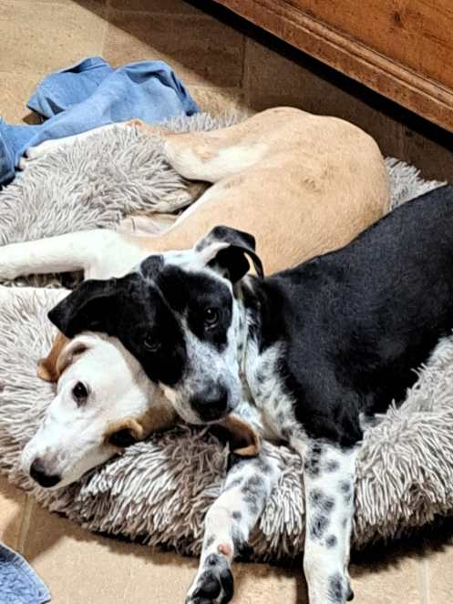 WhatsApp-Image-2025-11-02-at-17.41.21