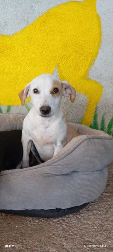 WhatsApp-Image-2025-11-02-at-18.11.27