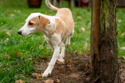 WhatsApp-Image-2025-11-02-at-18.11.43