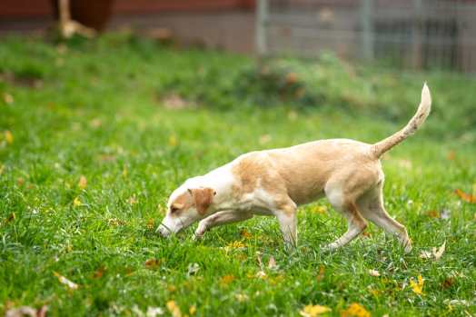 WhatsApp-Image-2025-11-02-at-18.12.46