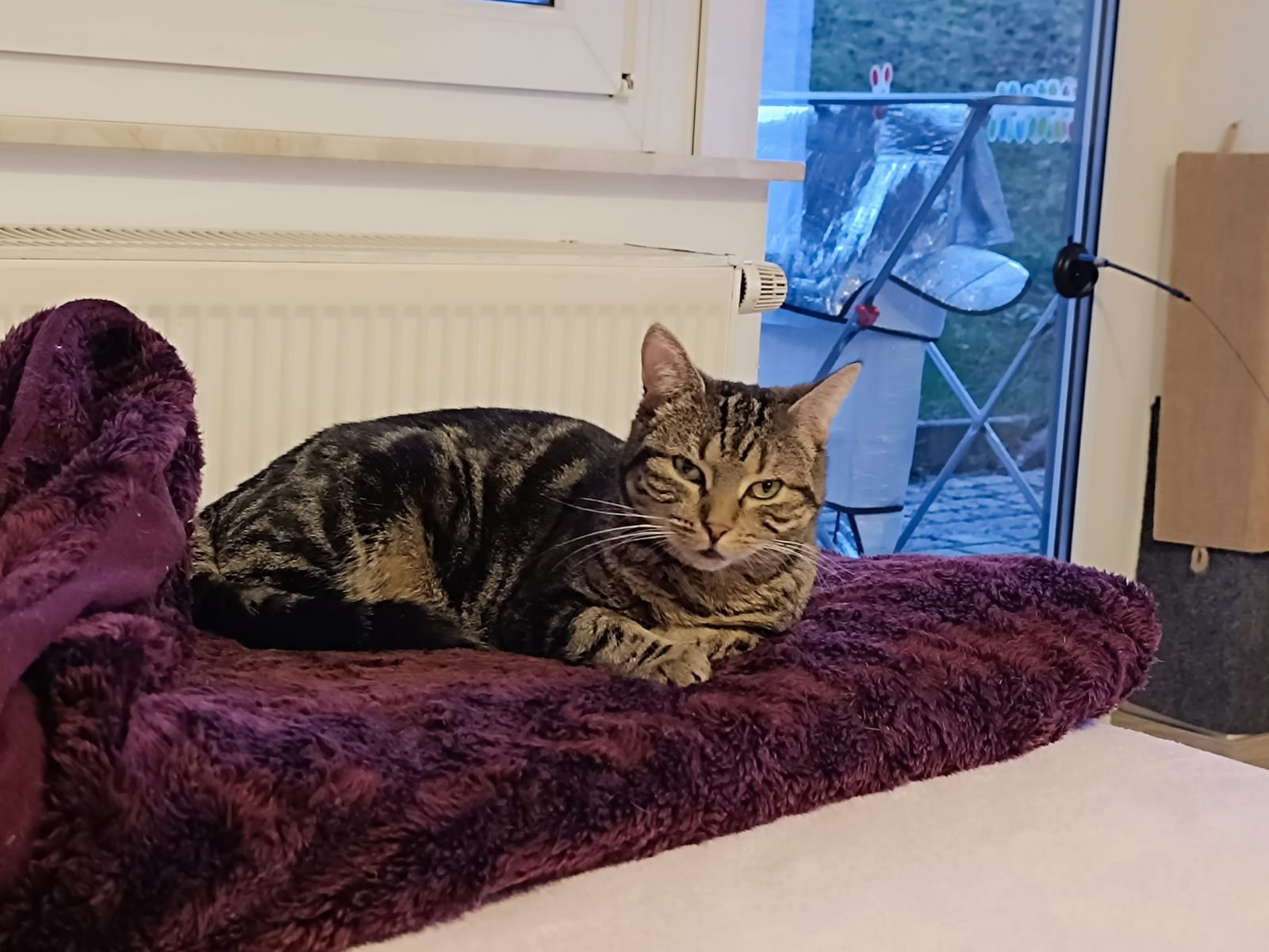 WhatsApp Image 2026-03-23 at 15.17.33