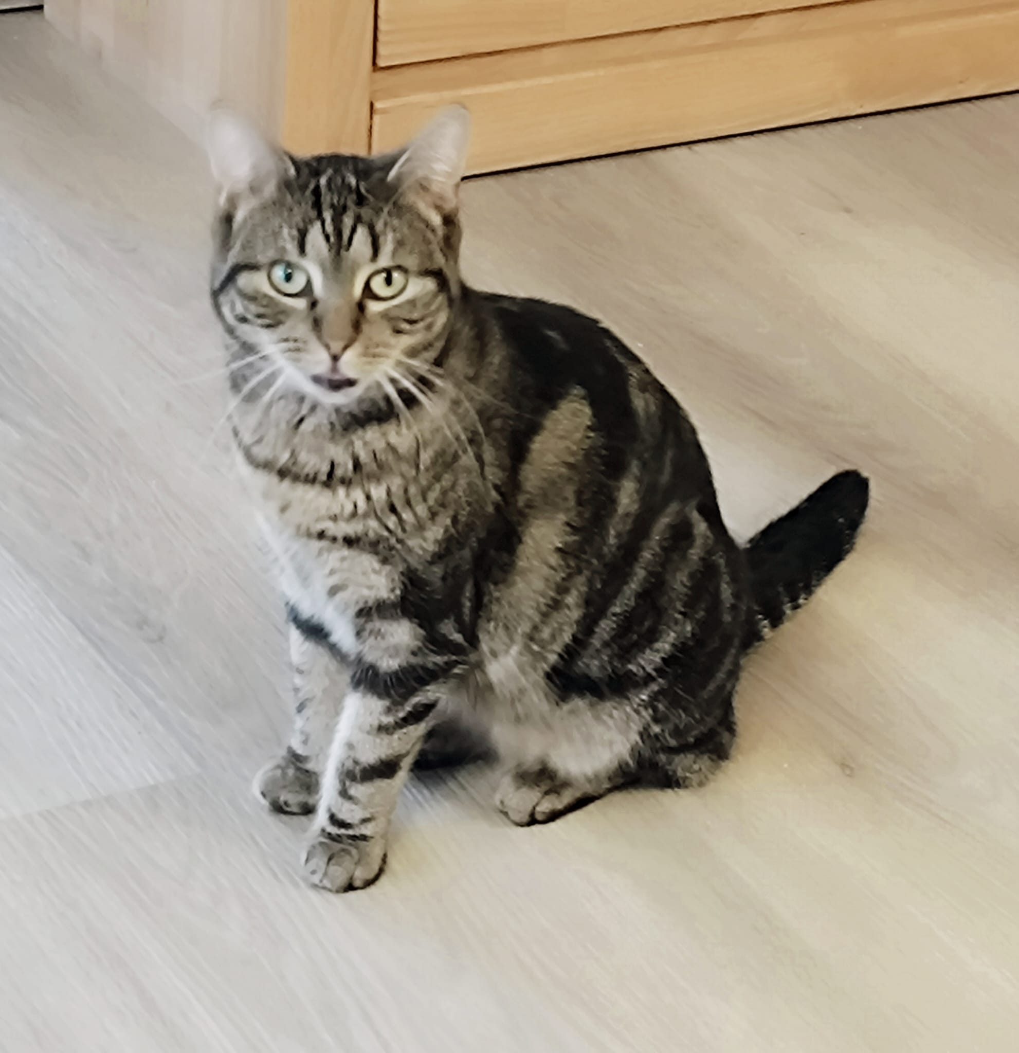 WhatsApp Image 2026-03-23 at 15.17.33(1)