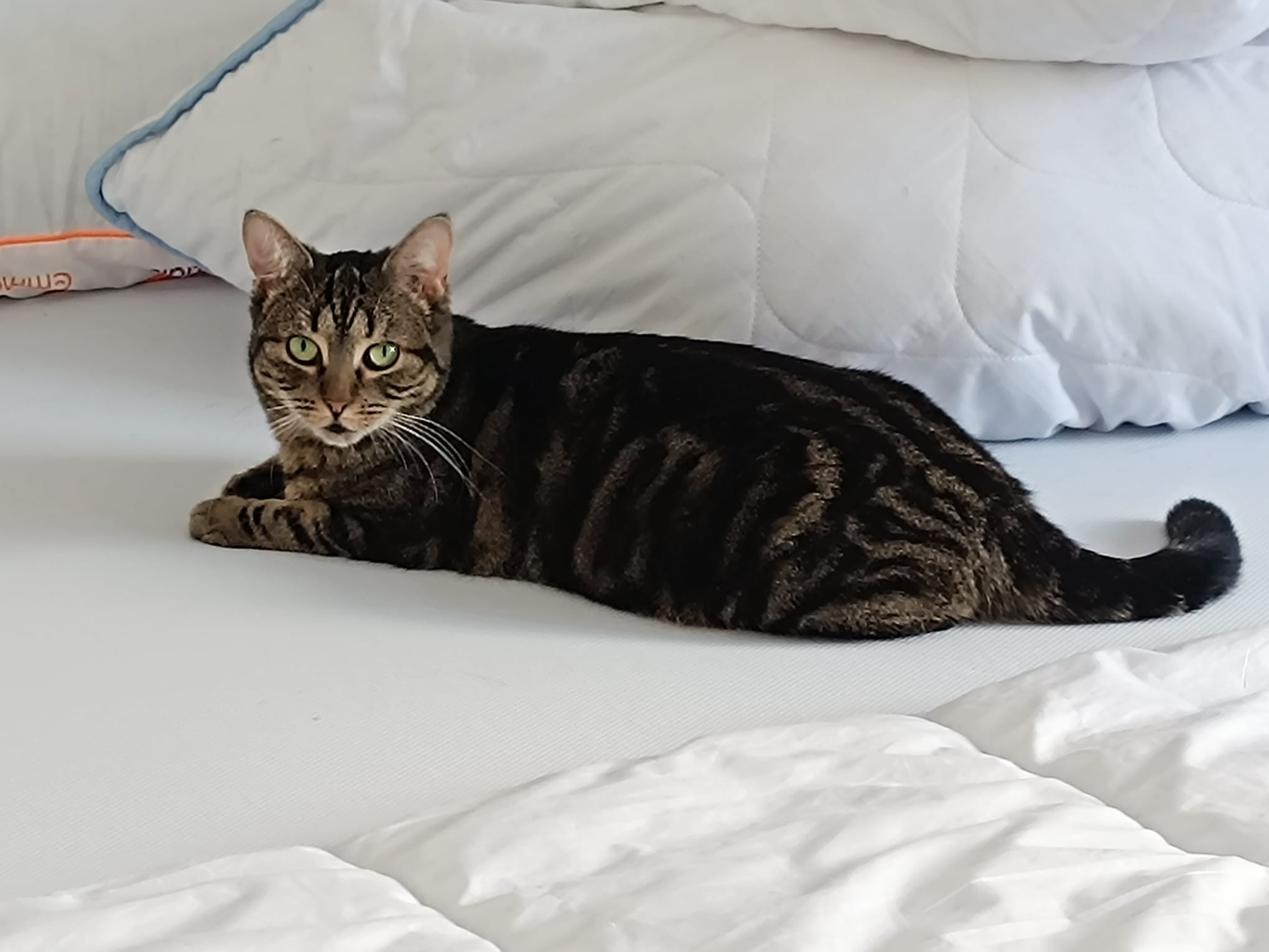 WhatsApp Image 2026-03-23 at 15.17.33(3)