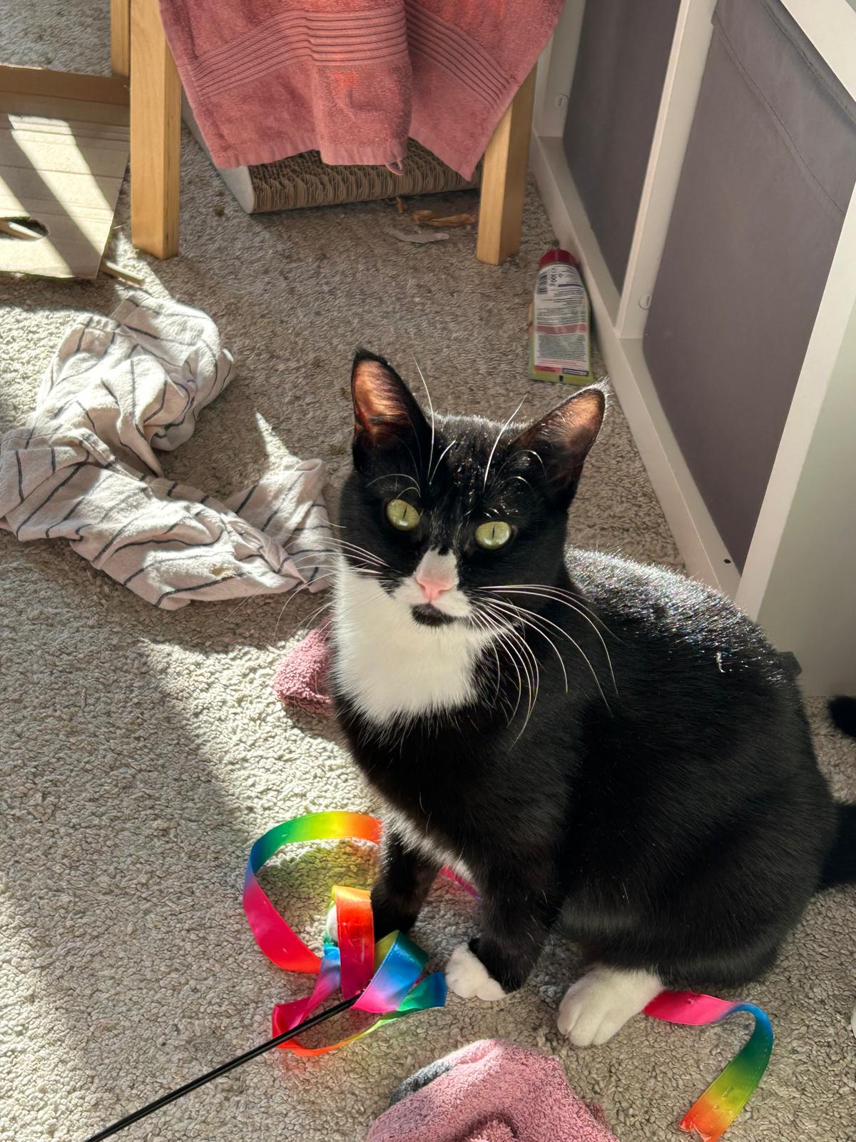 WhatsApp Image 2026-03-26 at 14.55.08