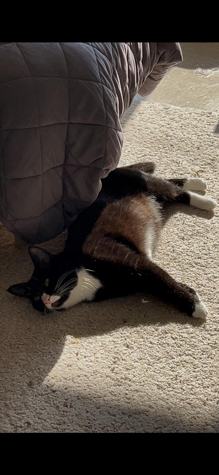 WhatsApp Image 2026-03-26 at 14.55.08(1)