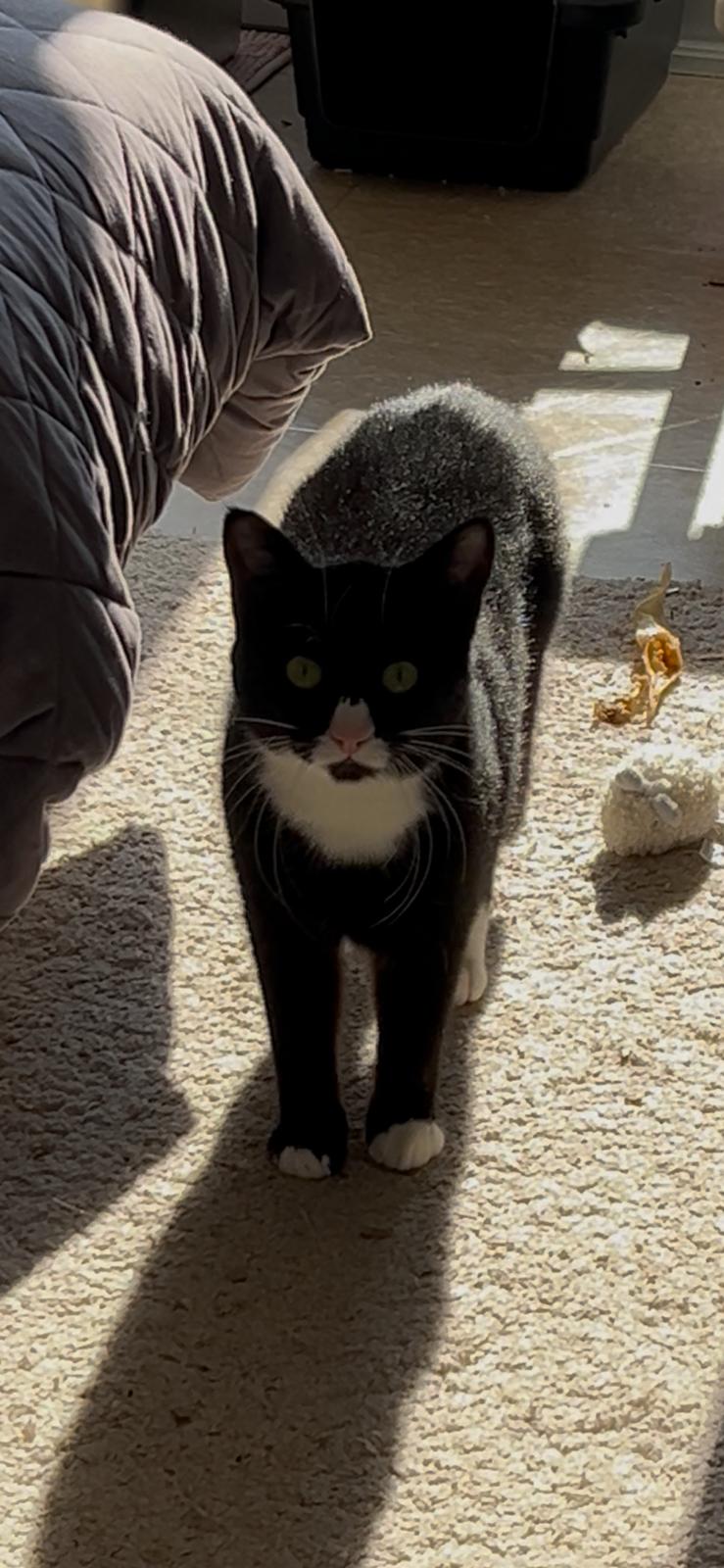 WhatsApp Image 2026-03-26 at 14.55.09