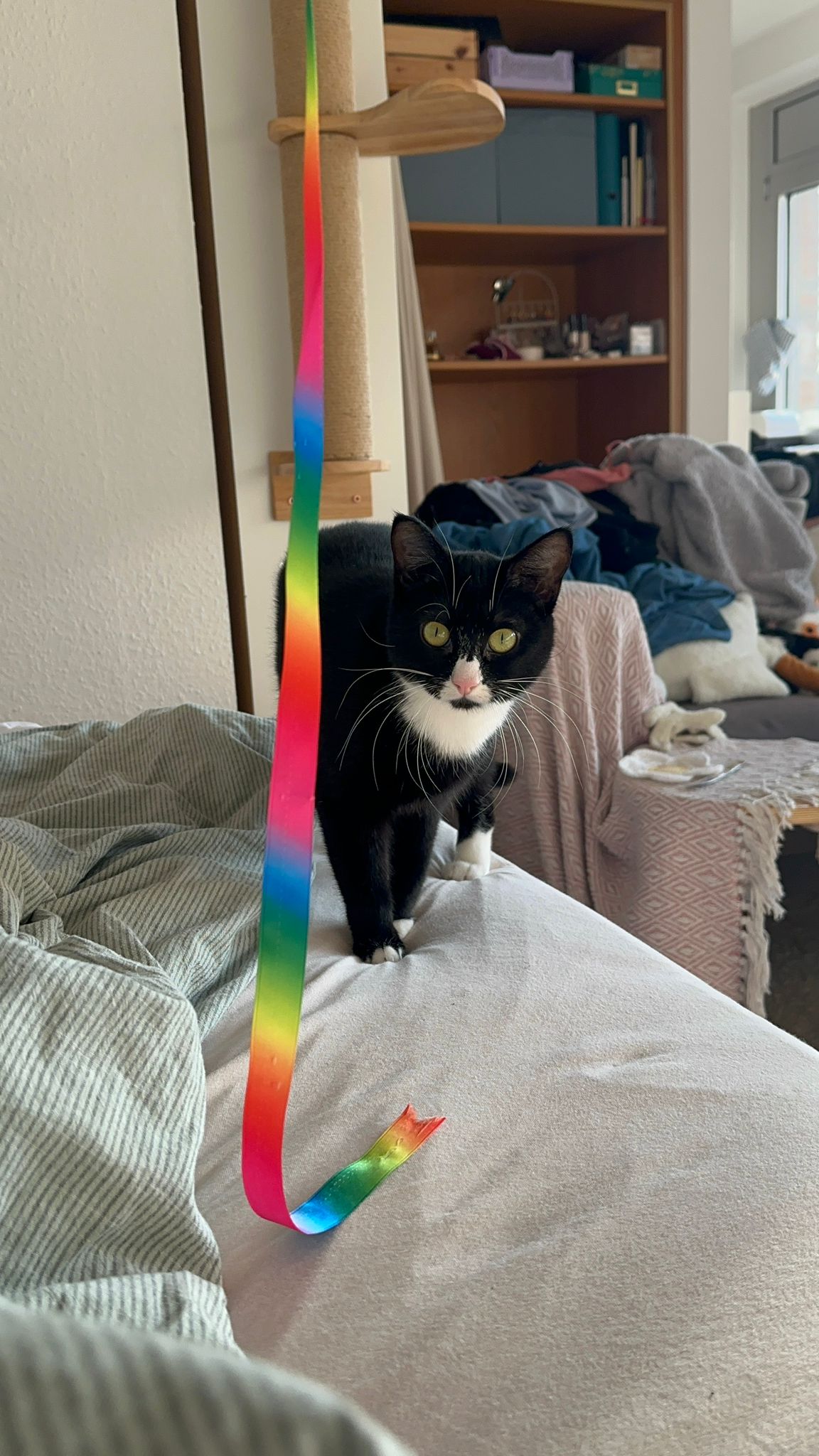 WhatsApp Image 2026-03-26 at 14.55.11