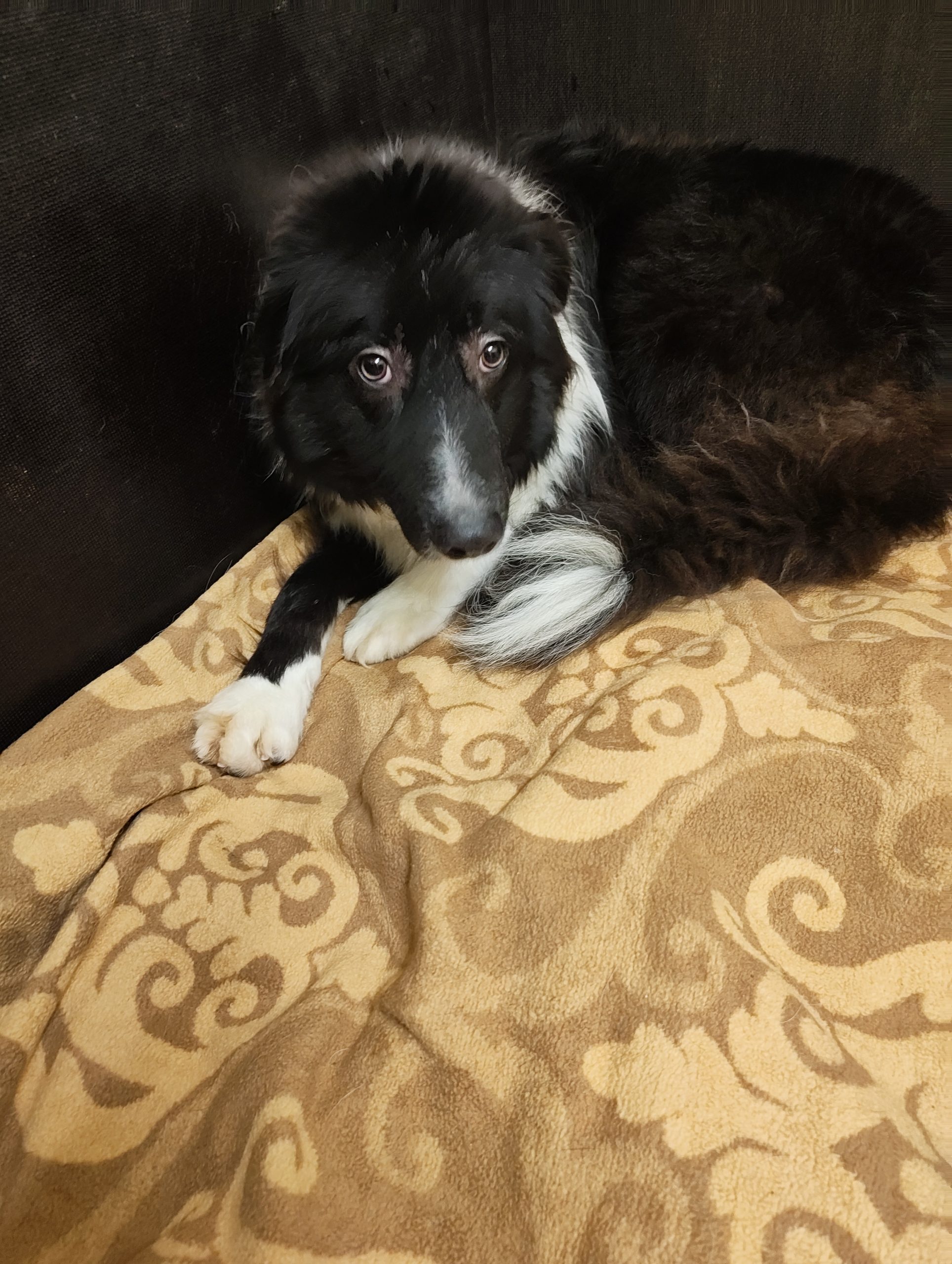 IMG_20260130_160202501