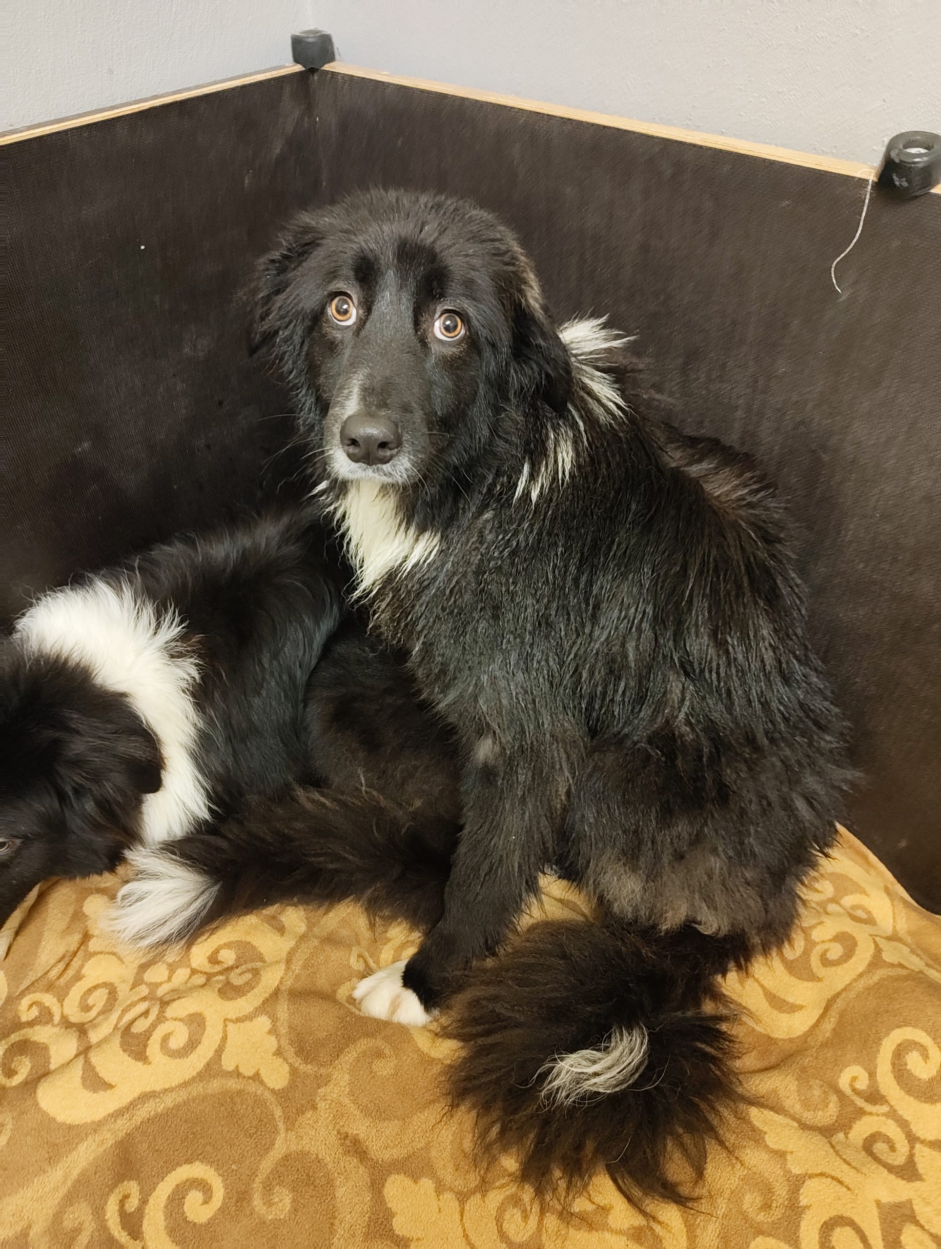 IMG_20260130_160245597