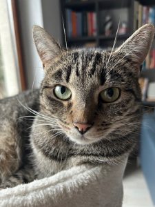 Mikascha (jetzt Mila)