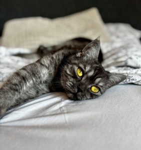 Choice (jetzt Missy)