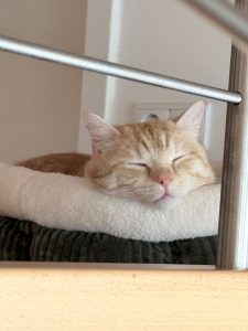 Red (jetzt Fred)