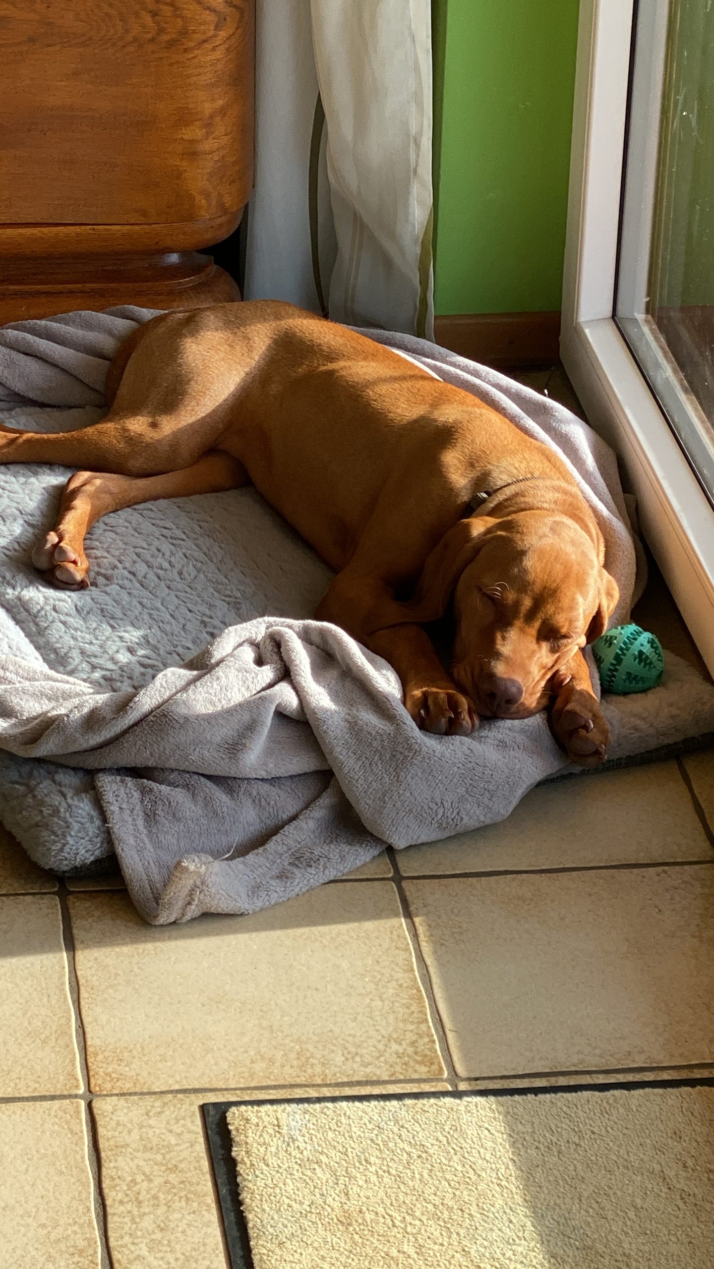 52DAFD49-8EDA-4CEF-9225-3DE3F82446C2