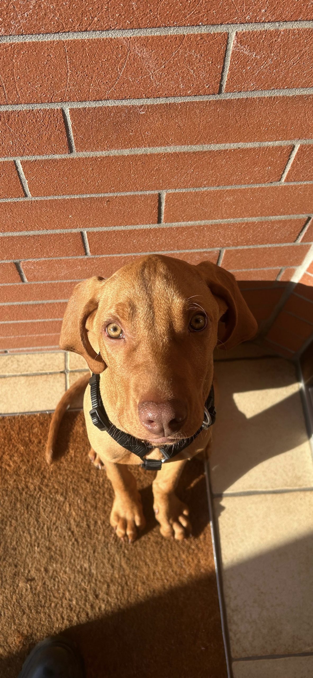 564df124-fc2f-42e6-841c-168c9f5e0224