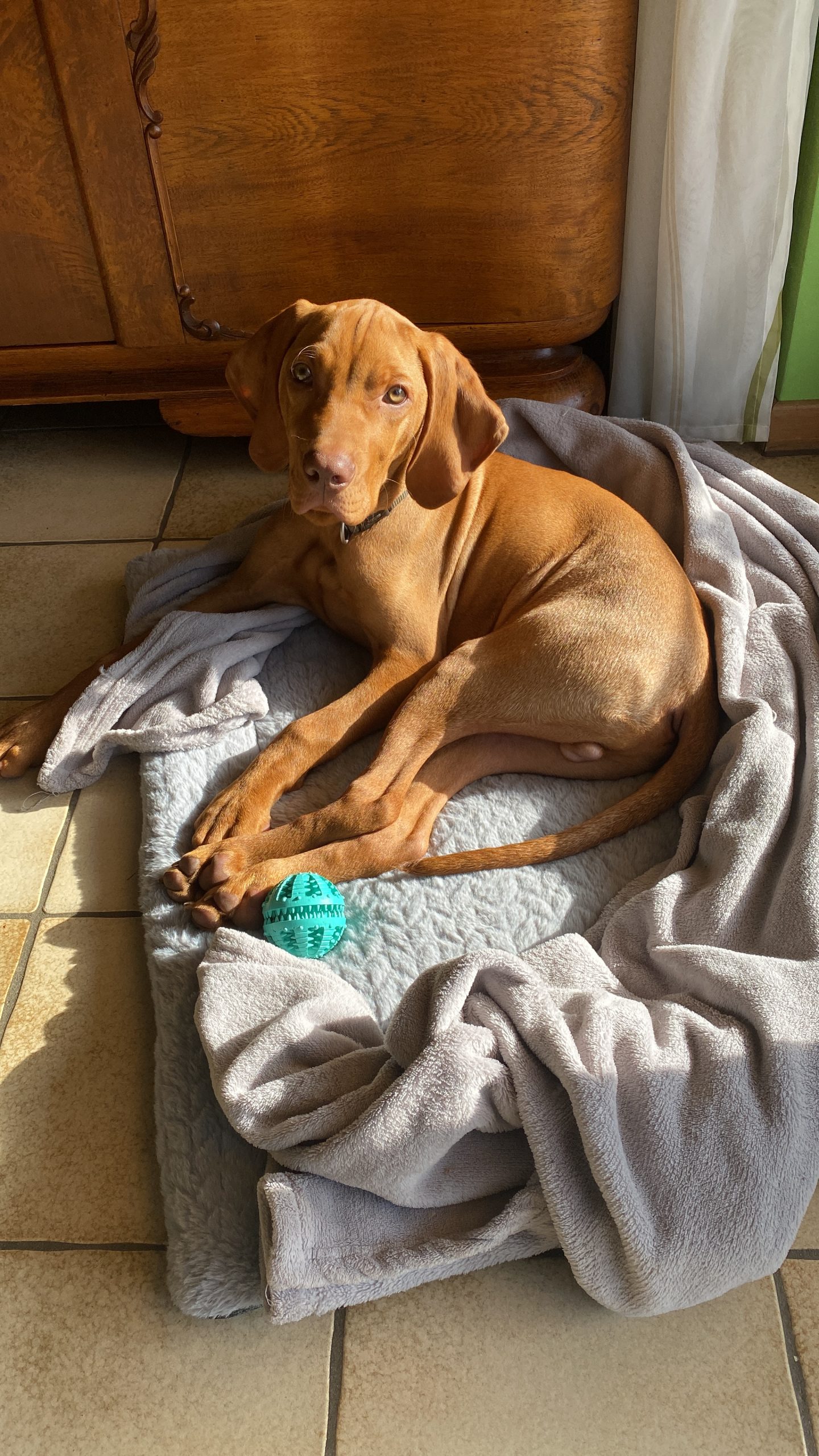 674F53A7-D06B-4A82-93FD-49F99370D52E