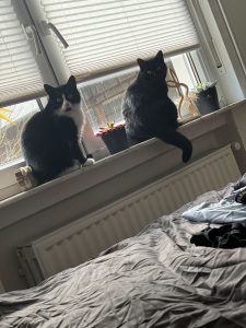 Dotty und Margo