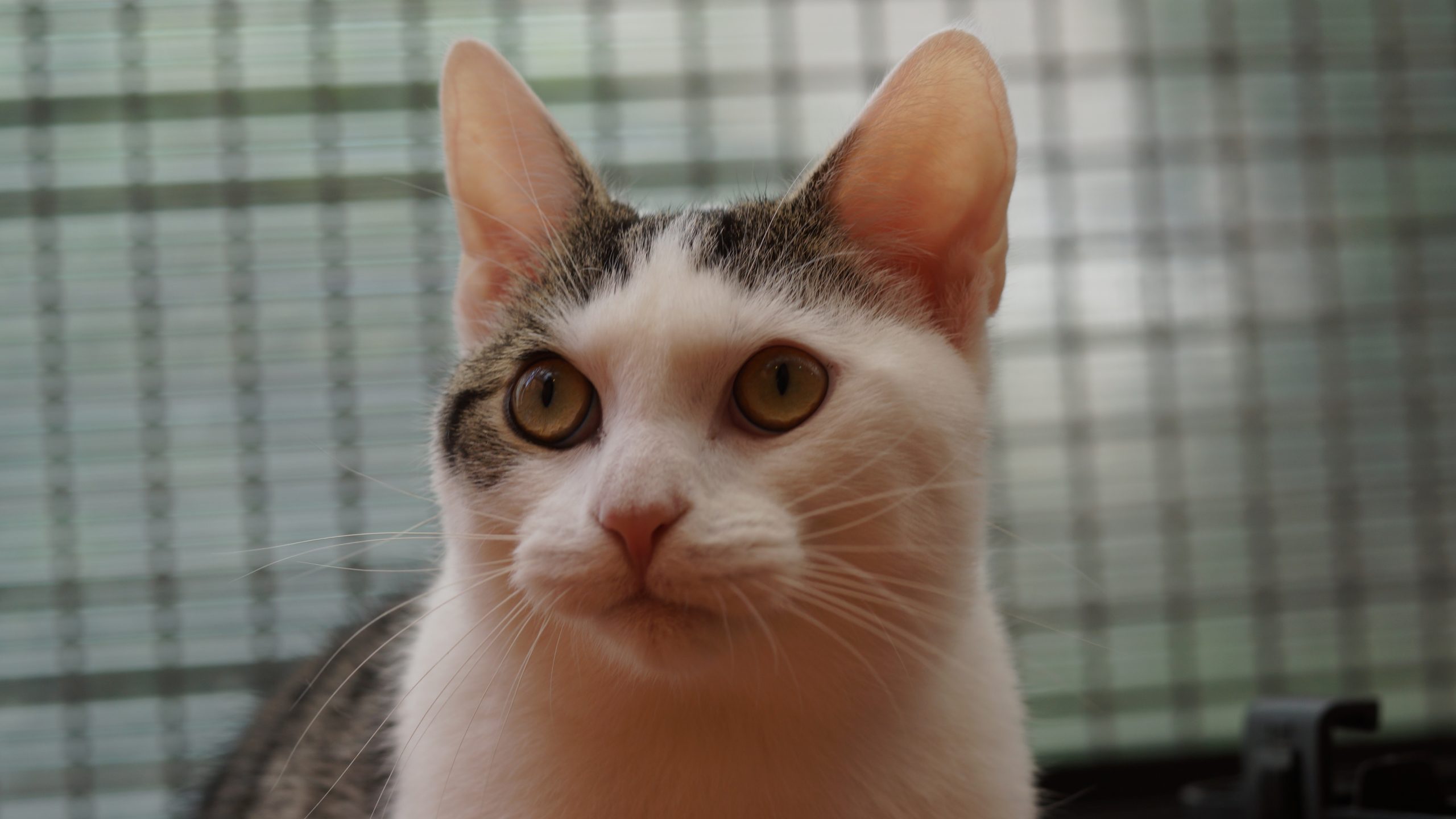 DSC05081
