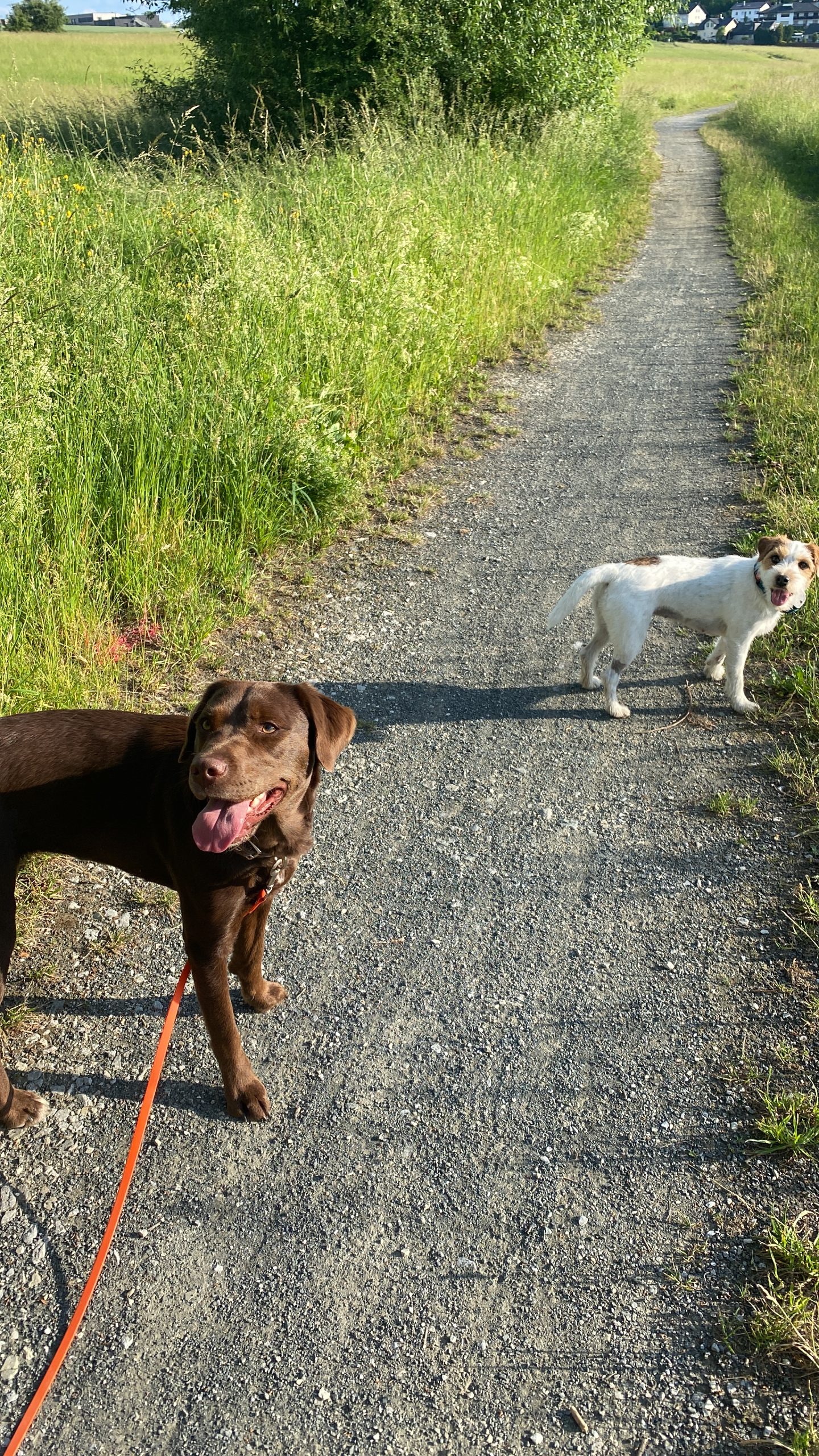 Frieda – Bild 3
