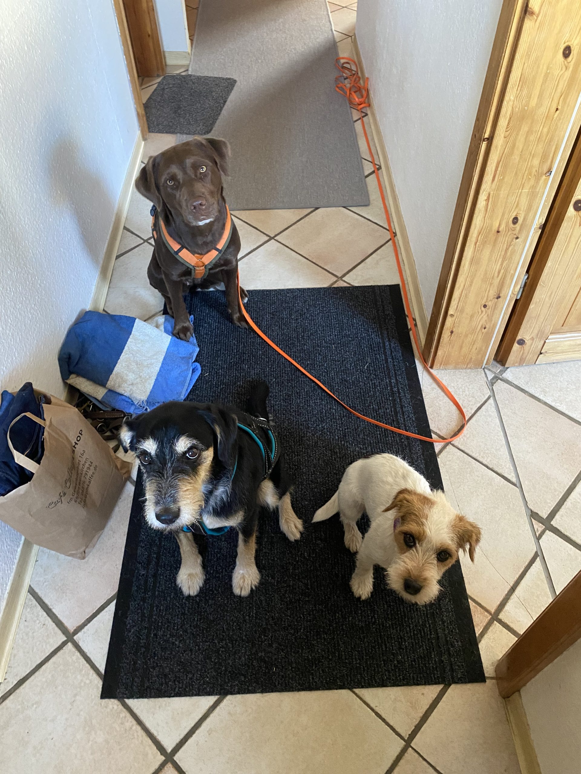 Frieda – Bild 4