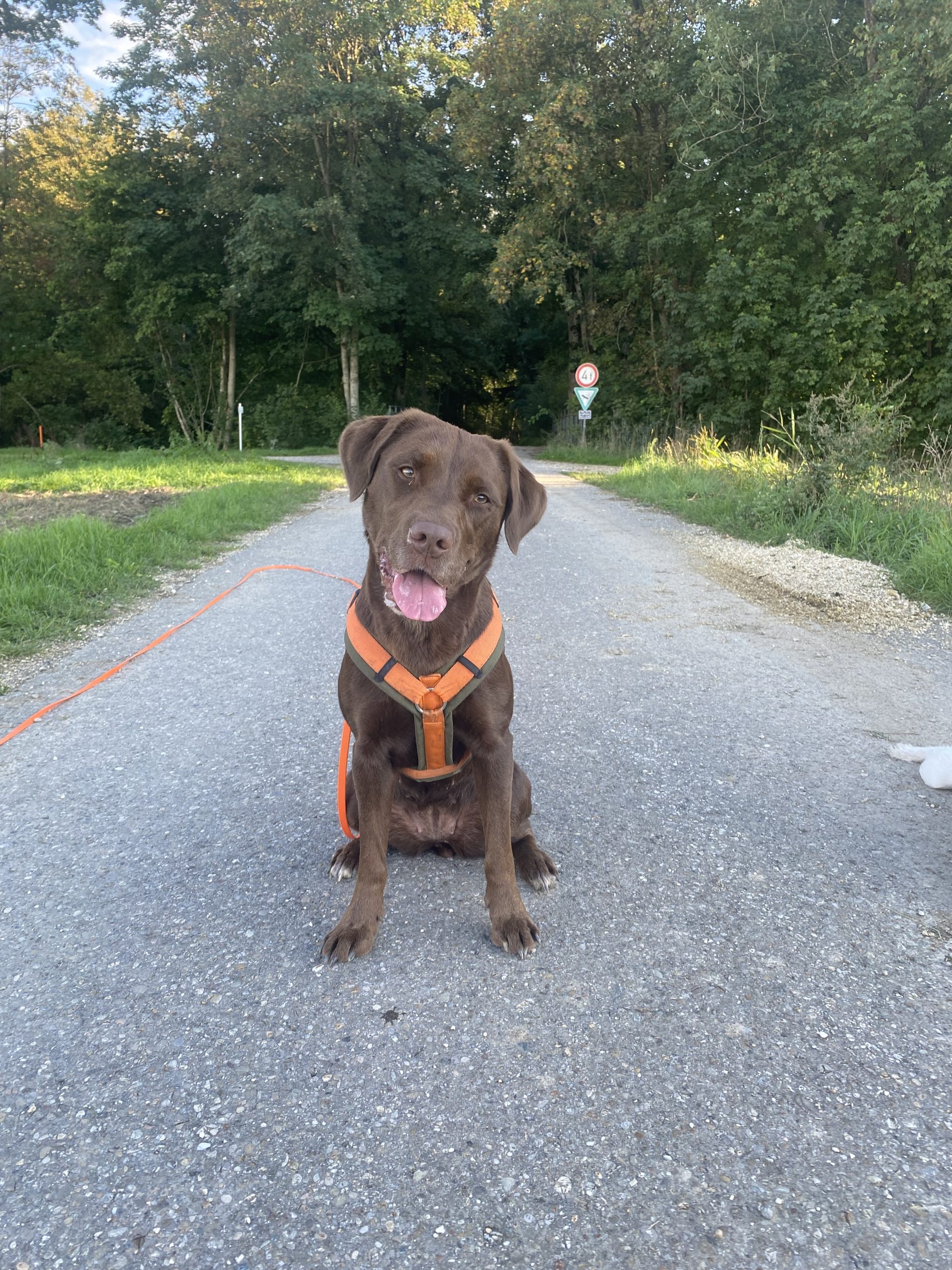 Frieda – Bild 2